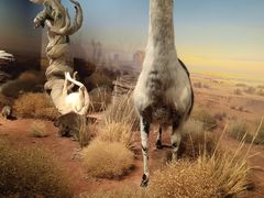 -陕西自然博物馆