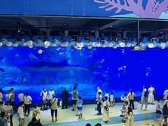 -烟台海昌鲸鲨海洋公园