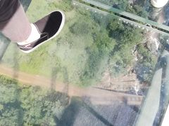 -梦幻奥陶纪景区