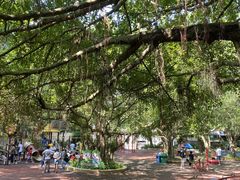 -广东茂名森林公园