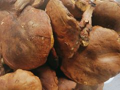 -草墩罗非鱼庄•野生菌•腊排骨(七星街上段店)