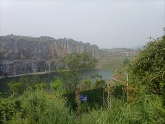 -南山植物园