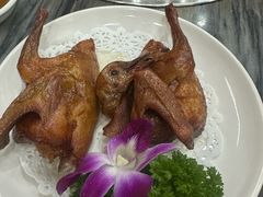 -鸽鸟轩(石岐店)