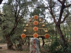 -北海金海湾红树林生态旅游区