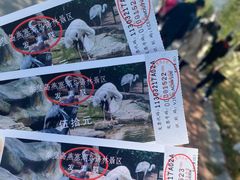 -燕塞湖鸟语林景区