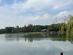 -新洲生态园