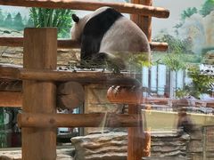 -西霞口神雕山野生动物世界