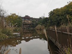 -张坝桂圆林公园
