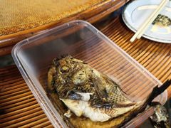 -杨合林啊兰烤鱼