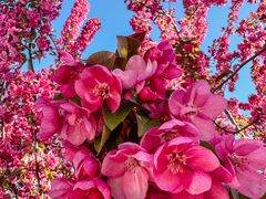 -永定河休闲森林公园