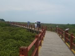 -北海金海湾红树林生态旅游区