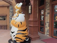 -上海野生动物园老虎餐厅