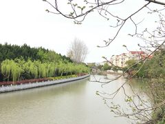 -嘉定紫藤园