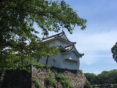 -名古屋城