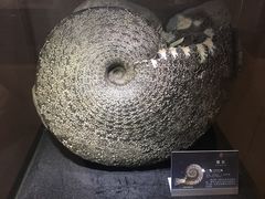 -中华赏石园