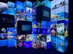 -上海中国航海博物馆