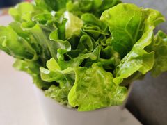 -古乐牛香·鲜牛肉牛杂火锅(吴江三里桥运东商业广场店)