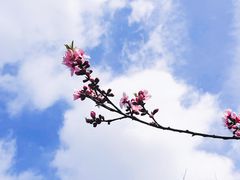 -滴水湖