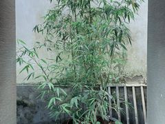 -浙江省博物馆(孤山馆区)
