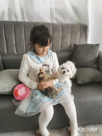 不管撸猫还是逗狗，都毫不反抗，马上瘫在那里