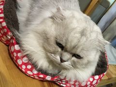 -小时光咖啡馆(开森度假森林店)