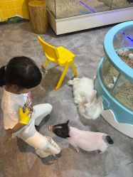 -神奇动物撸宠馆·羊驼·小浣熊·异宠(豫园店)