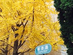 -辽宁大学(崇山校区)