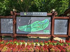 -茅兰沟国家森林公园