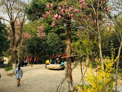 -西安关中民俗艺术博物院