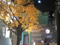 -天花井景区