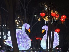 -金城公园