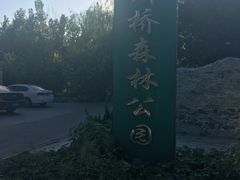 -赵州桥景区