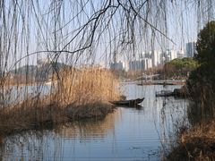 -月湖风景区
