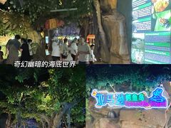 -重庆欢乐海底世界
