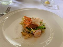 -蝶舍·MAISON PAPILLON