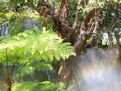 -Chom Cafe and Restaurant