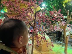 -酷嗒动物文化乐园(cutezoo西溪乐天城店)