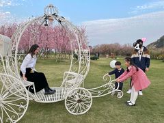 -福建鲤鱼洲酒店