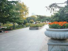 -睦南公园