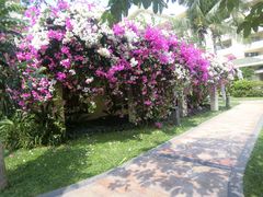 -三亚亚龙湾天域度假酒店