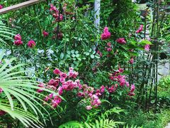 -谷咖啡·鲜花绿植花园餐厅