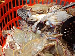 -星伦多自助料理·涮烤一体(江桥万达店)