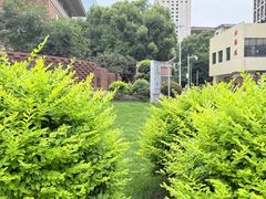 -长沙市青少年宫