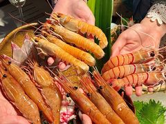 -Mr.Fish鱼鲜生海鲜放题(高德置地冬广场店)