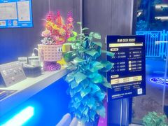 -鹿栖.精油SPA(金山世纪城店)