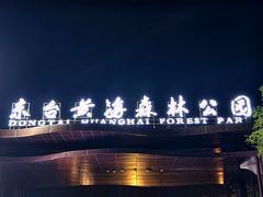 -黄海国家森林公园