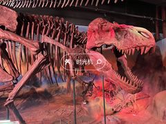 -正佳自然科学博物馆