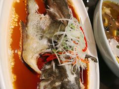 -陈麻婆豆腐总店