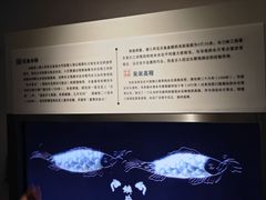 -白鹤梁水下博物馆