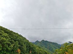 -朱雀国家森林公园